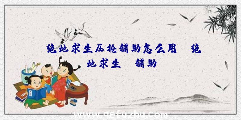 「绝地求生压枪辅助怎么用」|绝地求生VC辅助